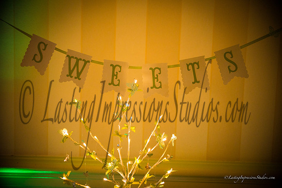 lastingimpressionsstudios.com-111