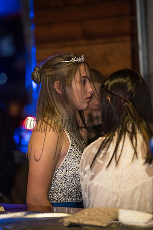 LIS_Emily_Williams_Sweet_16th_Party  -158