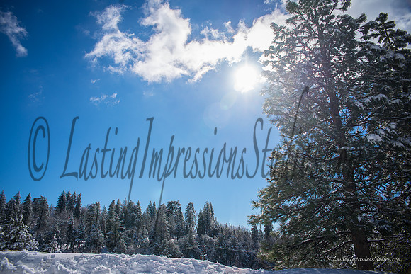 LIS_BigBear_JAN2016-7