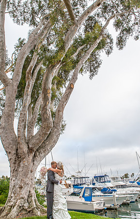 alohabugphotography-43