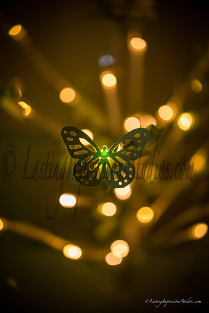 lastingimpressionsstudios.com-115