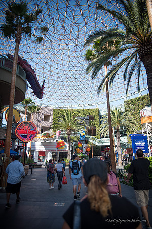 LIS_Universal_Studios_8-2016-7
