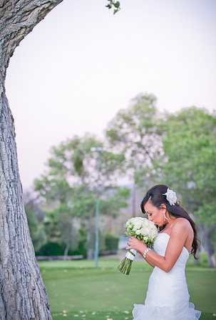 alohabugphotography-30