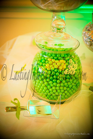 lastingimpressionsstudios.com-112
