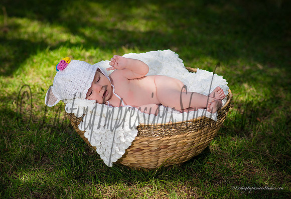 LIS_Catherine_Brehart-1