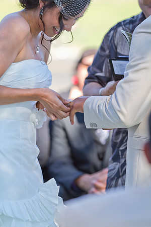alohabugphotography-9