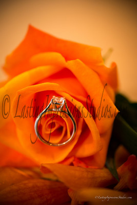 lastingimpressionsstudios.com-10