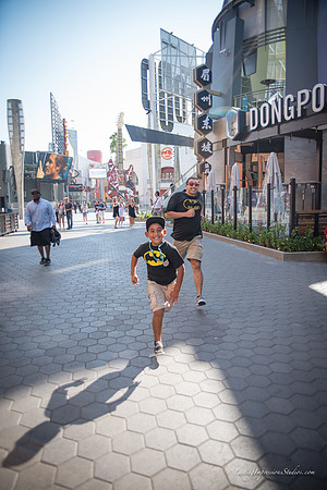 LIS_Universal_Studios_8-2016-5