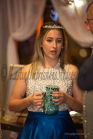 LIS_Emily_Williams_Sweet_16th_Party  -176