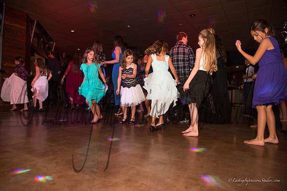 LIS_Emily_Williams_Sweet_16th_Party  -363
