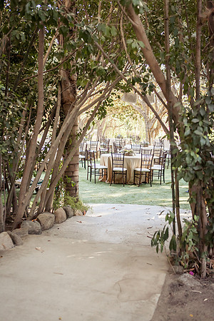 16-17-IMG_0040-paradisefalls-weddingphotographer