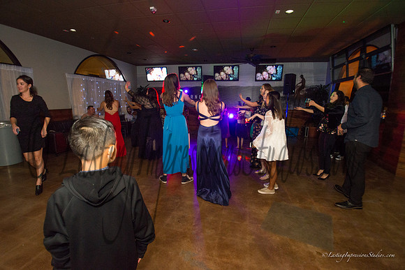 LIS_Emily_Williams_Sweet_16th_Party  -380