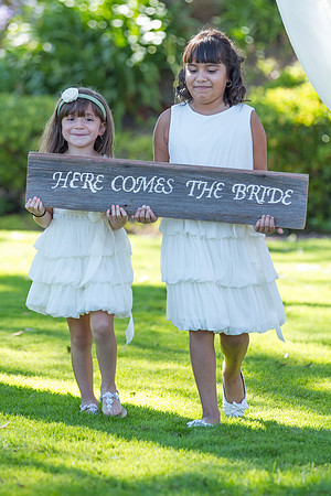 alohabugphotography-7