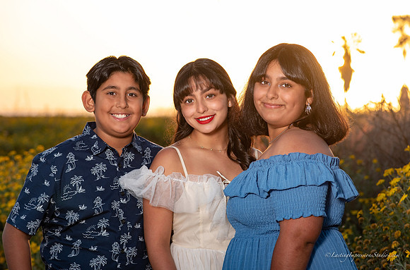 LIS-Alexia_Ayleen-5-2-2020-23