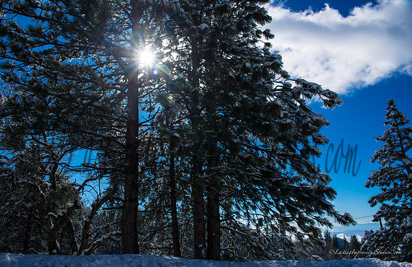 LIS_BigBear_JAN2016-1
