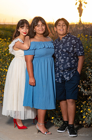 LIS-Alexia_Ayleen-5-2-2020-24