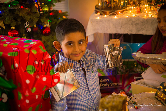 LastingImpressionsStudios-XMas_2014-10