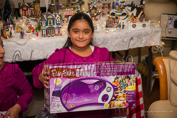 LastingImpressionsStudios-XMas_2014-12