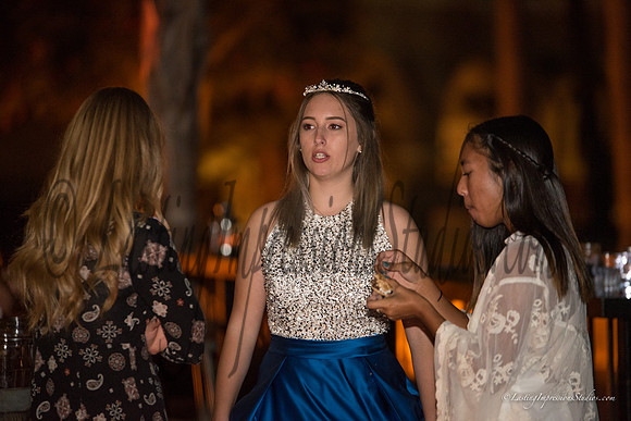 LIS_Emily_Williams_Sweet_16th_Party  -244