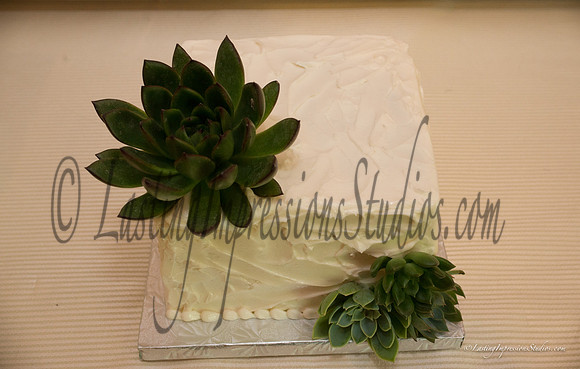 LISP_Roland_Justin_Wedding-2