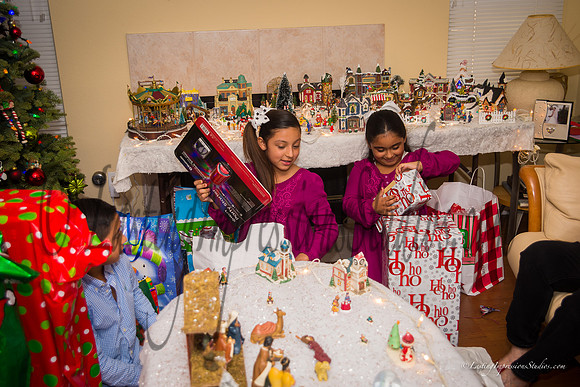 LastingImpressionsStudios-XMas_2014-3