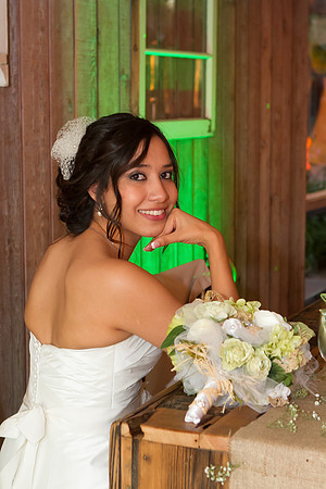 alohabugphotography-17