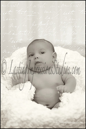 Aden 6