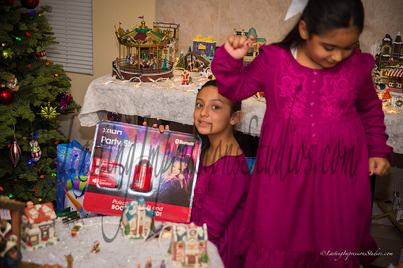 LastingImpressionsStudios-XMas_2014-16