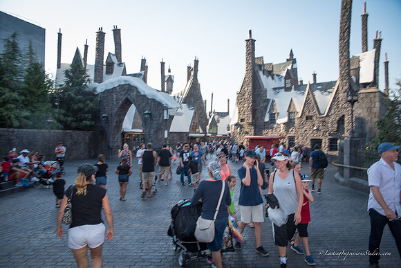 LIS_Universal_Studios_8-2016-357
