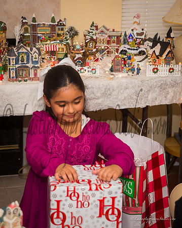 LastingImpressionsStudios-XMas_2014-7