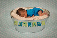 LIS_Pritbir_Virk_Baby_Dylan-13