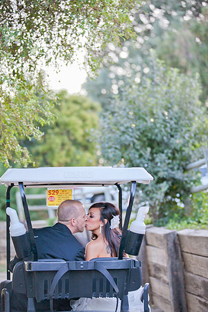 alohabugphotography-24