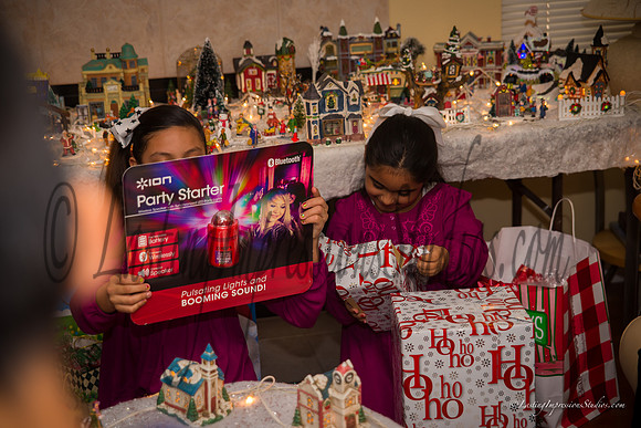 LastingImpressionsStudios-XMas_2014-4