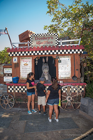 LIS_Universal_Studios_8-2016-62