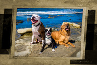 familyportrait7