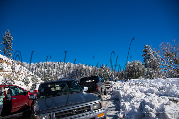 LIS_BigBear_JAN2016-8