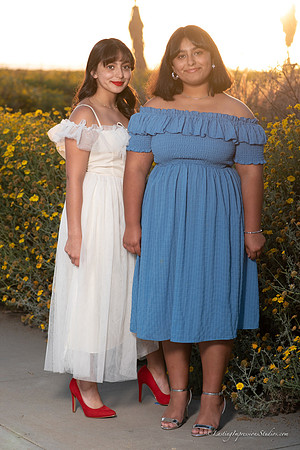 LIS-Alexia_Ayleen-5-2-2020-21