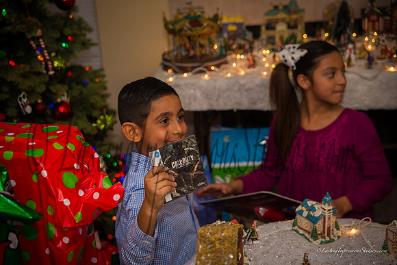 LastingImpressionsStudios-XMas_2014-6