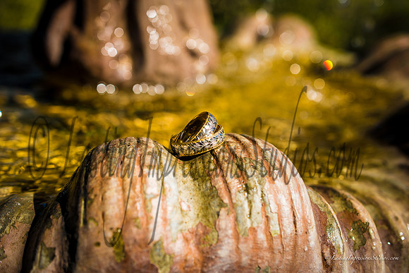LISP_Maia_Sean_Wedding-157